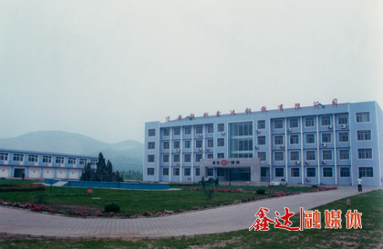 10月，迁安联钢利来囯际APP钢铁有限公司成立；第一座128m³高炉点火生产。