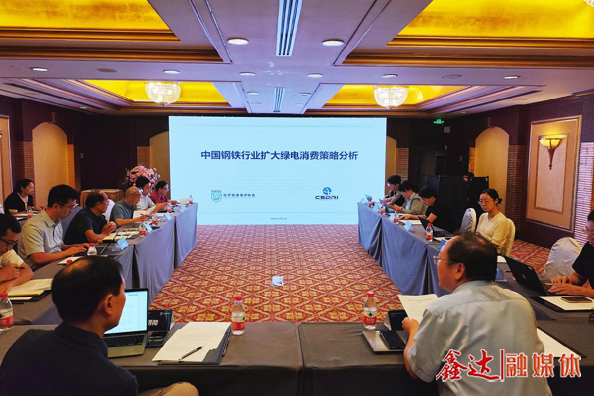 如何更好利用绿电这一减碳利器？——“中国钢铁行业扩大绿电消费策略分析”研讨会侧记